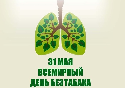���� 2022 � ����� ������ �� ������