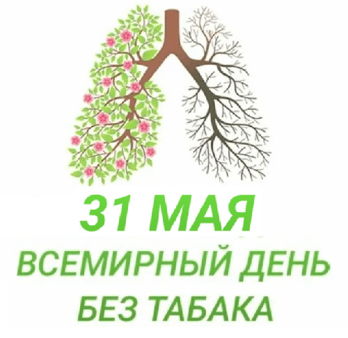 ���� 2024 � ����� ������ �� ������, ��� ������ � ����� ��� ��������� ����.